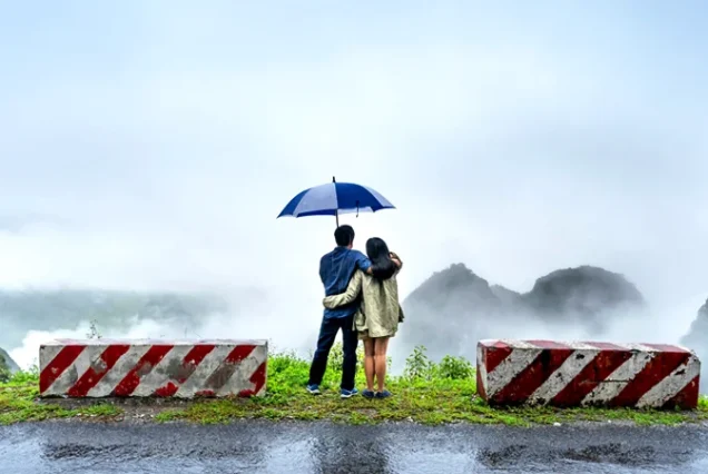 3N- DAZLING DARJEELING