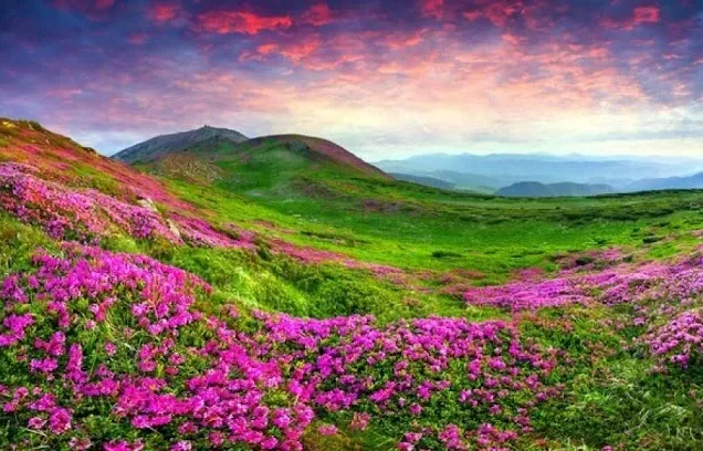 6N- WONDERS OF SIKKIM