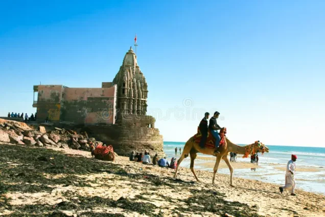 9N- COLORS OF GUJARAT